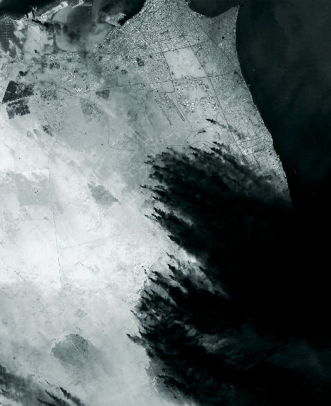 1082p32.jpg (46936 octets)