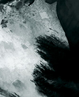 1082p32p.jpg (25555 octets)